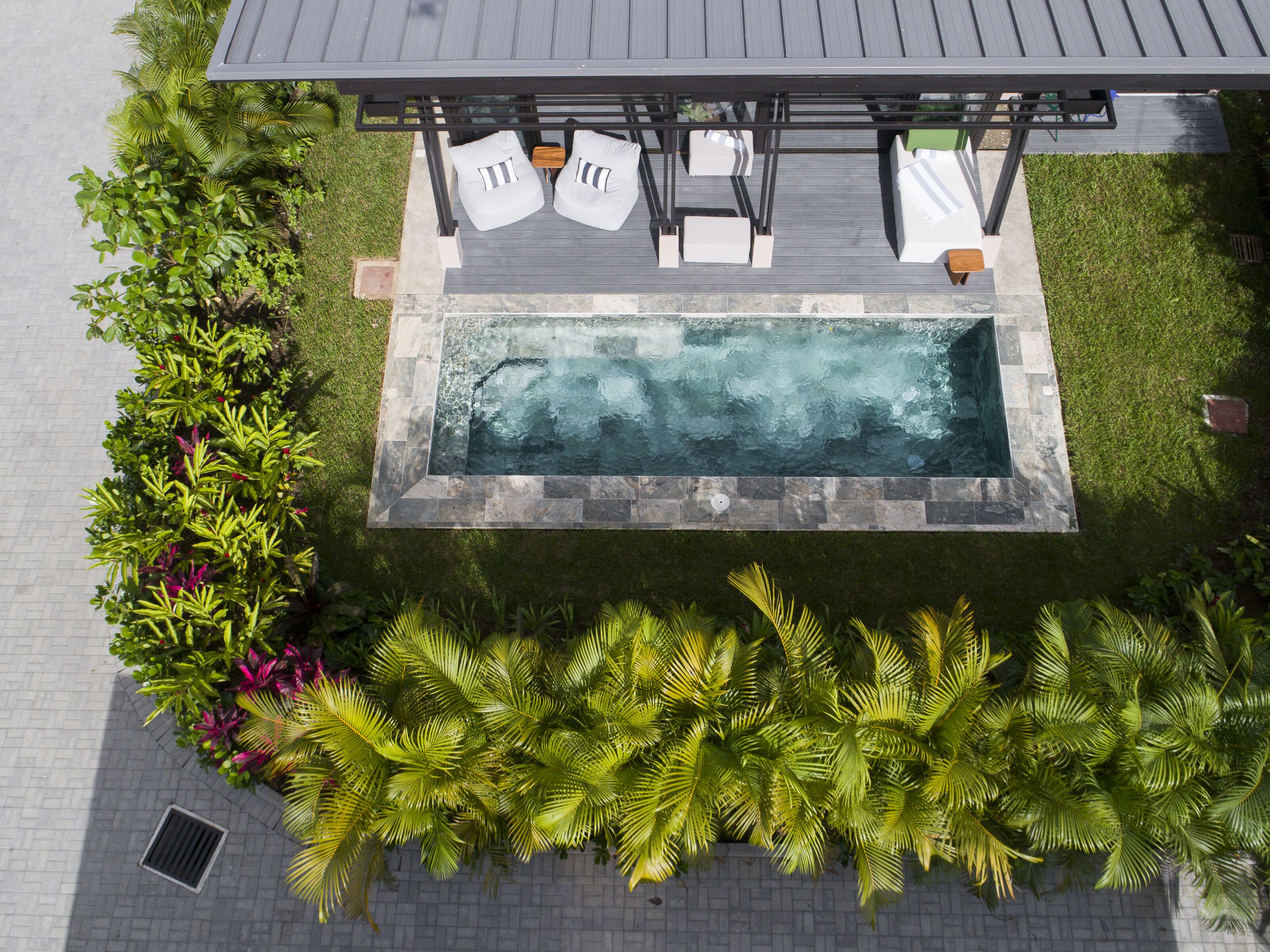A rooftop pool area with a pergola, seating, and lush tropical plants.