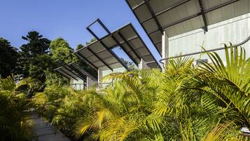 A pathway flanked by lush green foliage and a modern building with large, angled roof structures.
