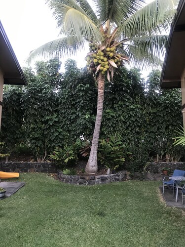 The Surf Hideaway is walking distance to everything Kona