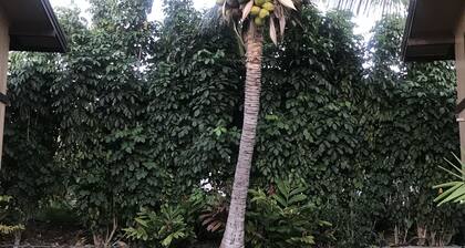 The Surf Hideaway is walking distance to everything Kona