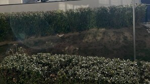 Zona residencial amb un edifici blanc, un cotxe estacionat al davant i un cel blau clar.