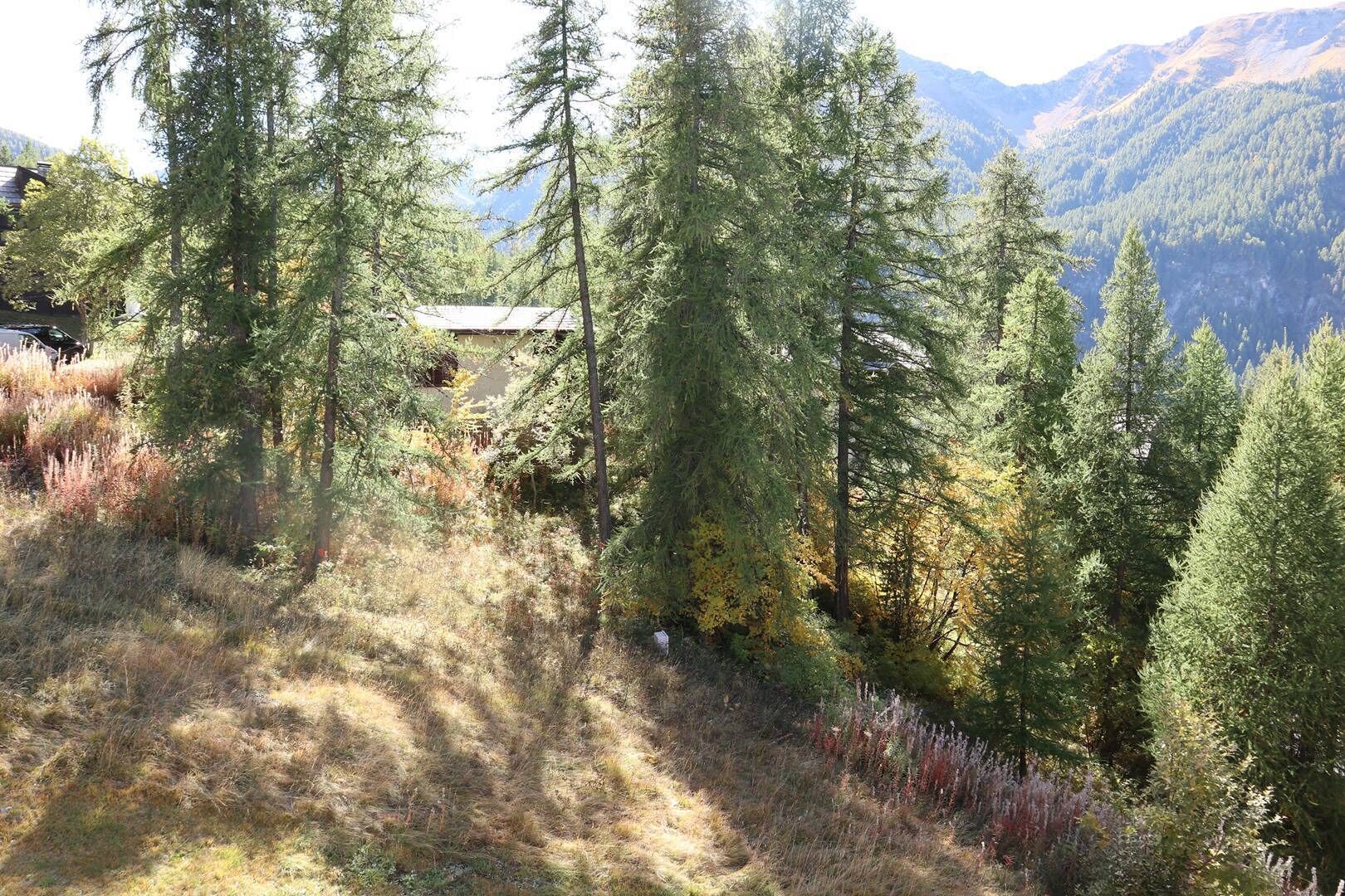 A cabin surrounded by dense forest with a mountain backdrop.