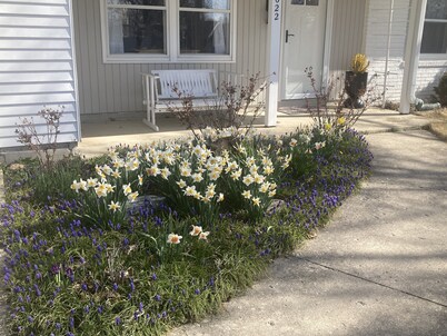 Quiet and comfy home is one of Fort Wayne's most sought after areas of the city