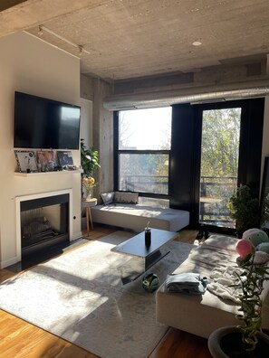 Smart-TV, Kamin