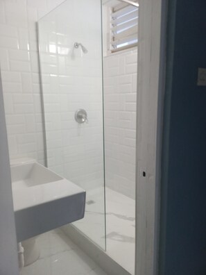 Hair dryer, towels, soap, toilet paper - apartment by the beach sleeps 4 (Ocho Rios)