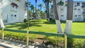 Une cour bordée de bâtiments blancs, de palmiers et d’une clôture verte.