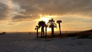 Ein Strand mit Palmen und einem Volleyballnetz.