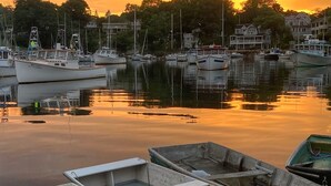 A marina with several boats docked, surrounded by trees and buildings.