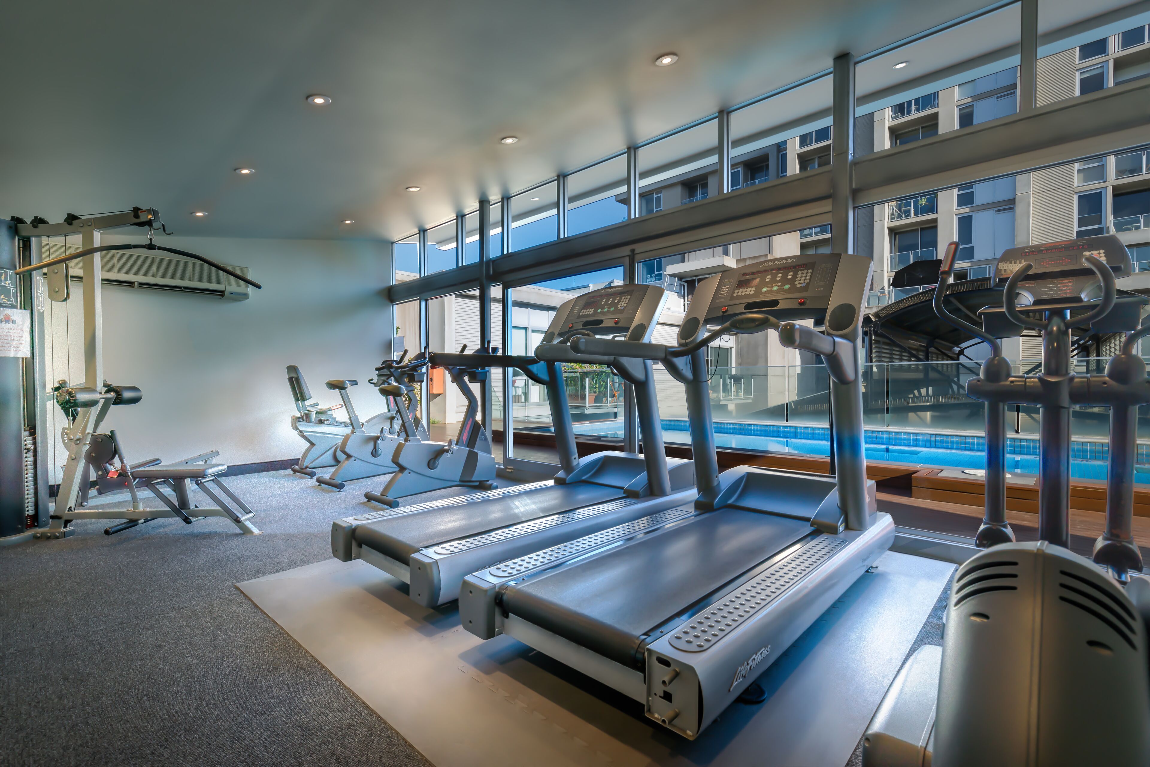 Gimnasio