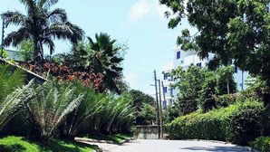 Una carretera pavimentada bordeada de palmeras y follaje, que conduce a un edificio con numerosas ventanas.