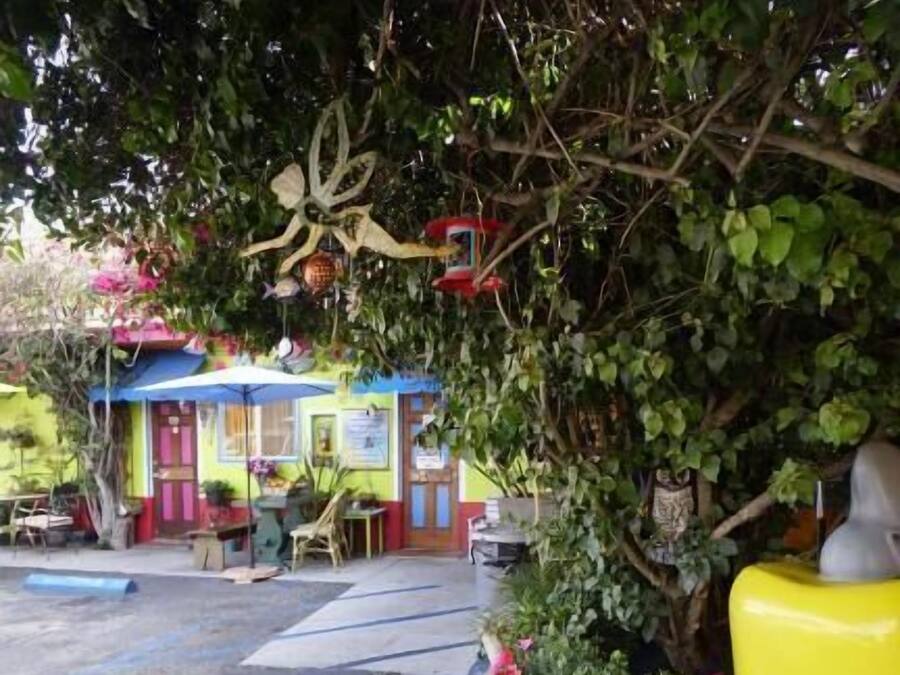 Un bâtiment aux couleurs vives, doté d’un auvent bleu, entouré d’une végétation luxuriante et de plantes en pot.