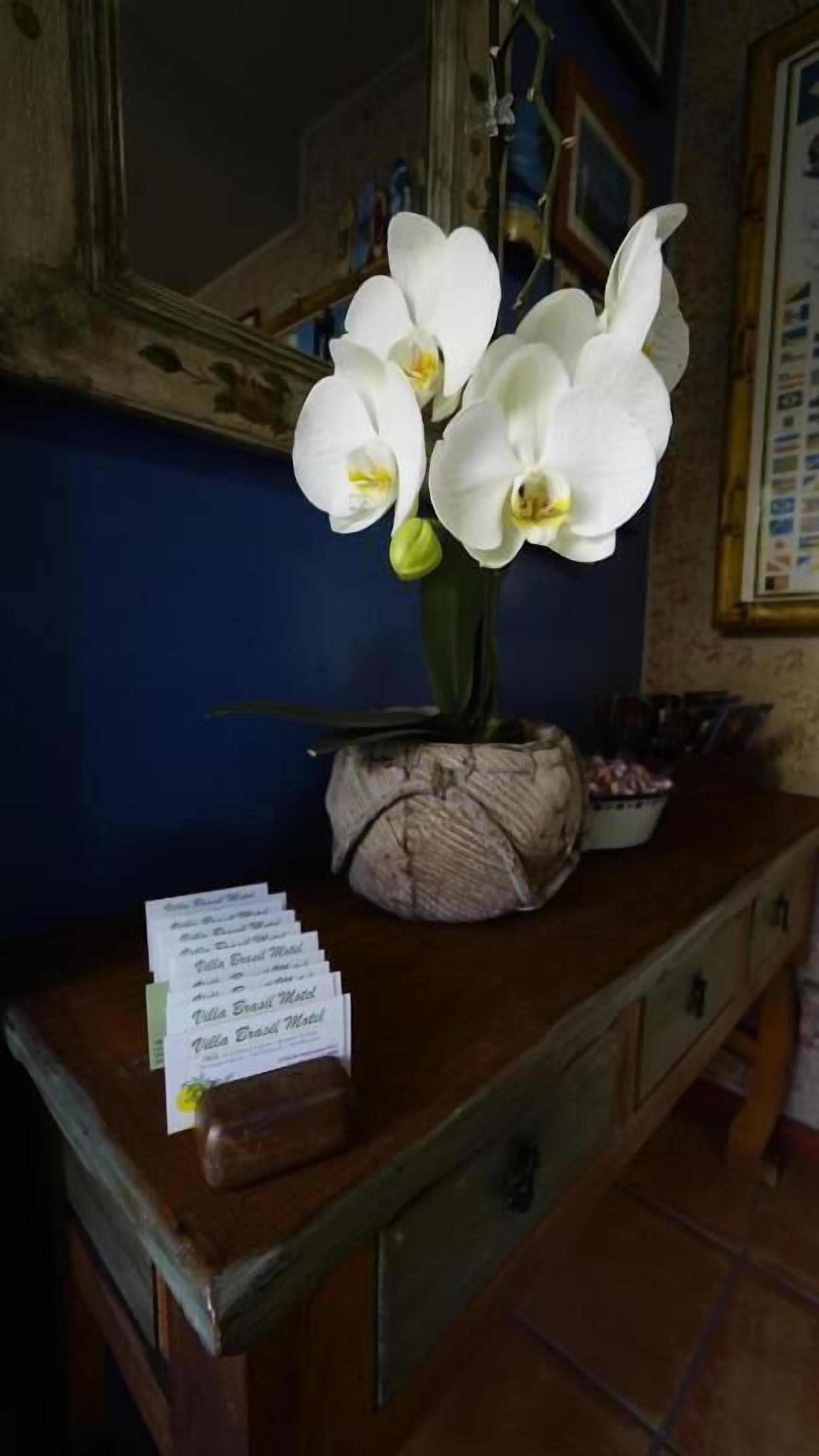 Foto - Villa Brasil Motel