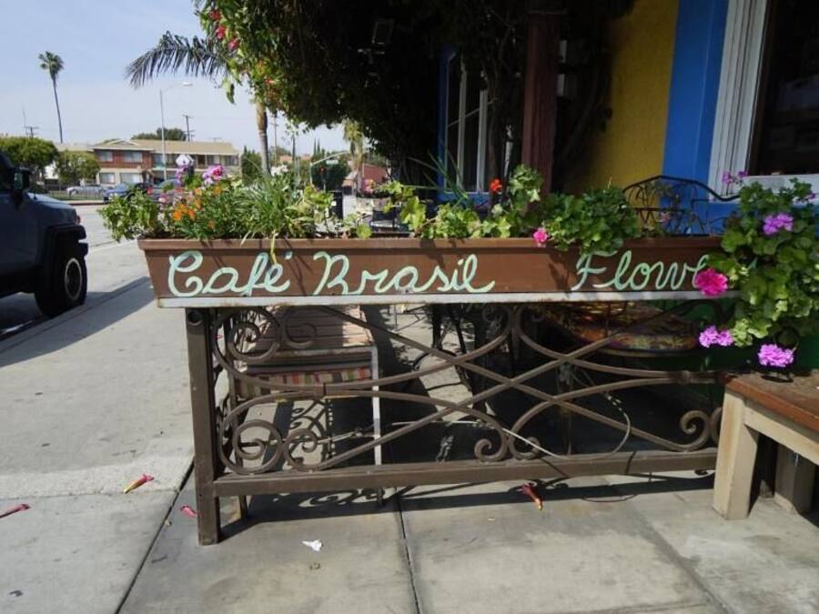 Una reixa de metall amb un cartell que diu "Cafe Brasil Flowers" i plantes en testos.