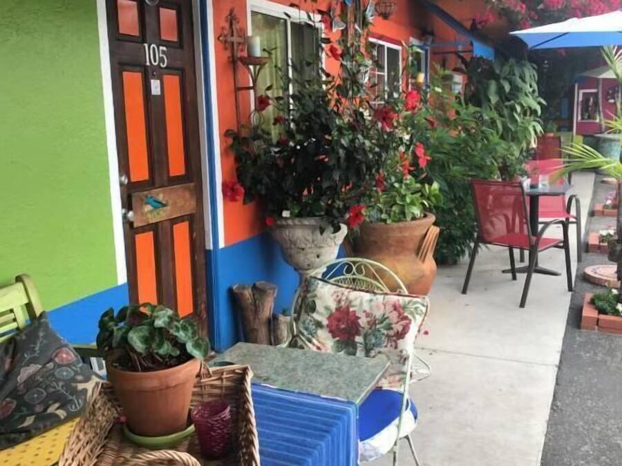 An outdoor seating area with a table, chairs, and potted plants.