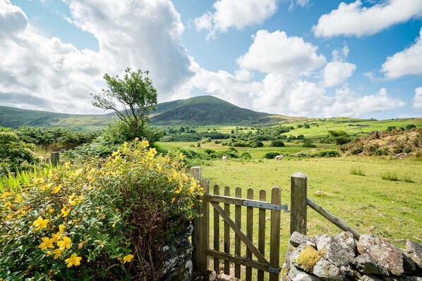 Property grounds - Rural retreat in the mountains with far reaching views | Pwll-Y-March (Llanbedr)