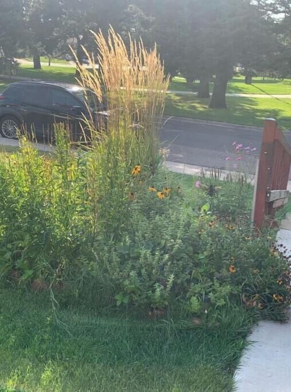 Property grounds - Cozy Get Away Home (Denver)