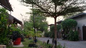 A courtyard with a thatched roof structure, a gravel path, and various potted plants.