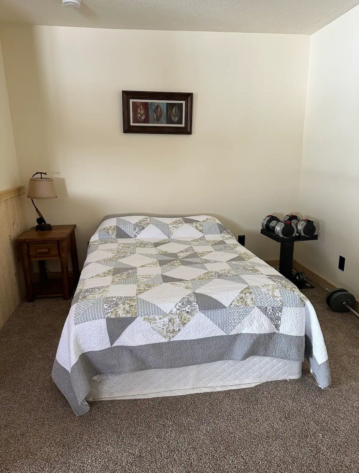 Un dormitorio con una cama, una mesita de noche con una lámpara, un cuadro en la pared y una estantería con mancuernas y barra.