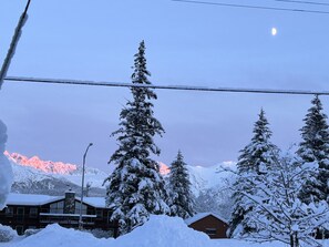Exterior - Cozy Seward Cottage: Amazing Location in the middle of town. Pet-Friendly! (Seward)