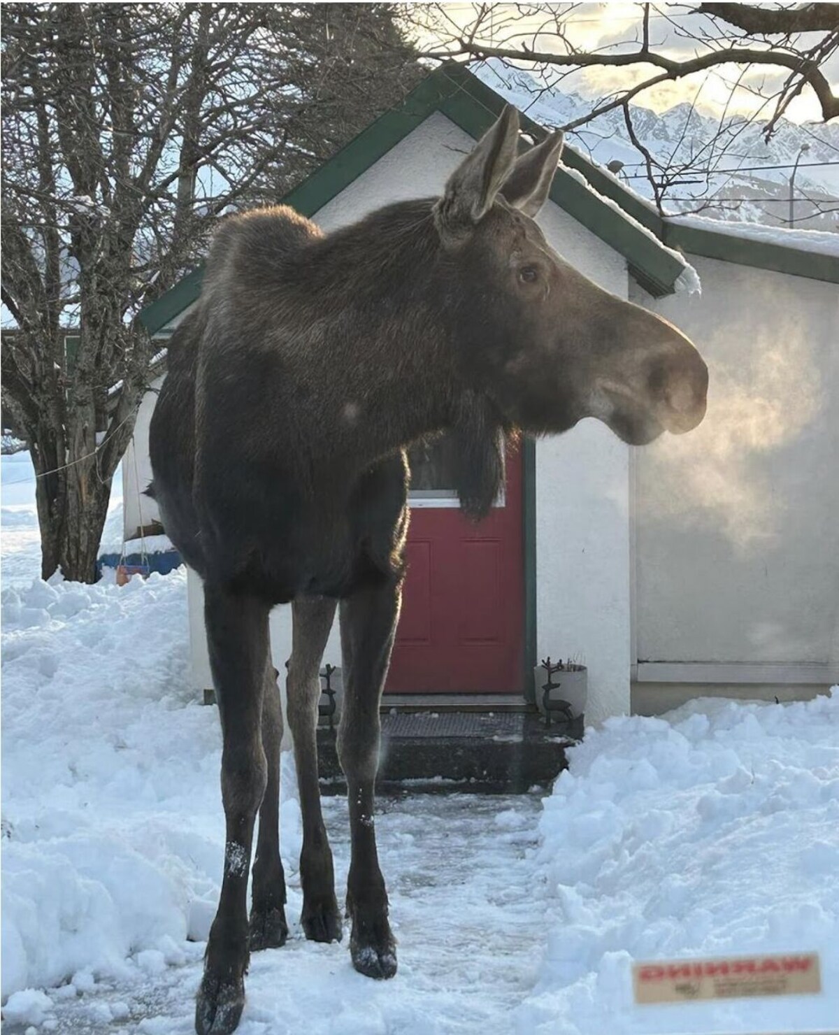 Image de profil de l’hôte