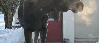 Cozy Seward Cottage: Amazing Location in the middle of town. Pet-Friendly!
