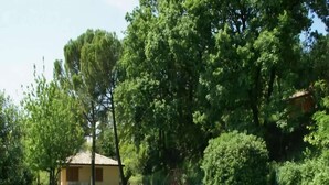 A small, single-story building with a thatched roof, surrounded by lush greenery and trees. - Luxurious Bungalow in Garda with Swimming Pool (Garda)