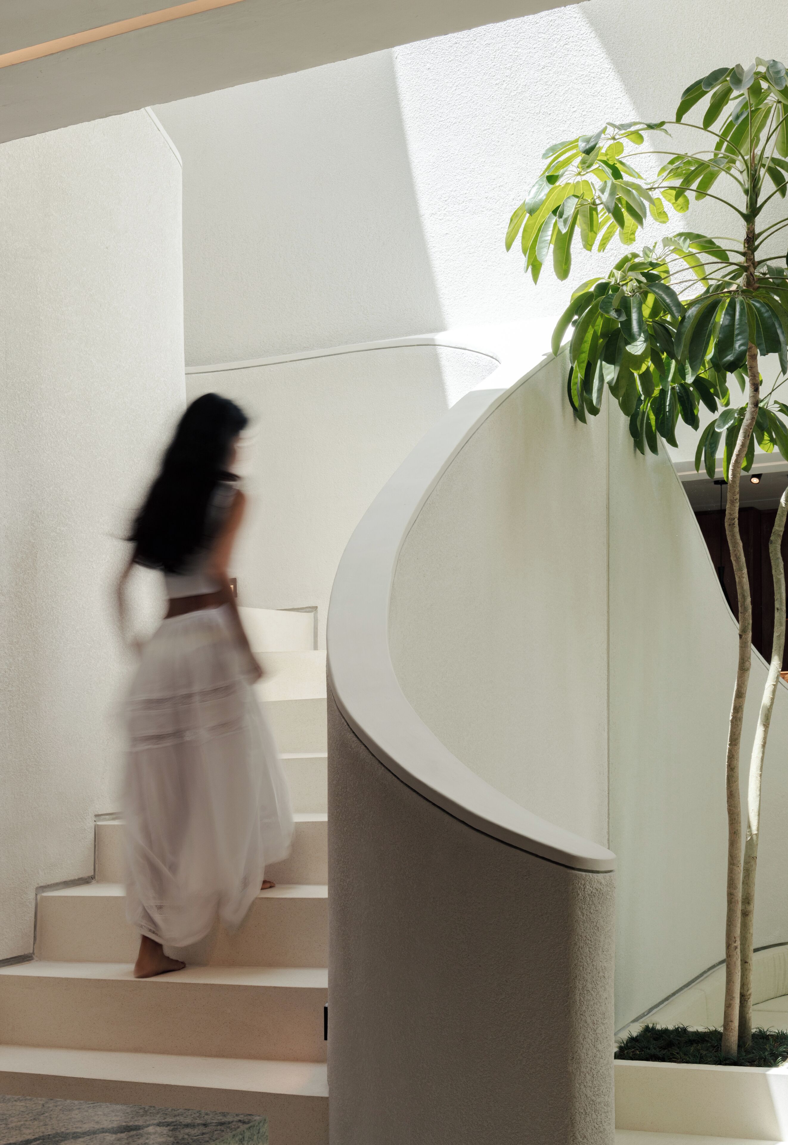 Une femme descend un escalier en colimaçon dans un bâtiment moderne, avec un pot de fleurs placé à côté des marches.