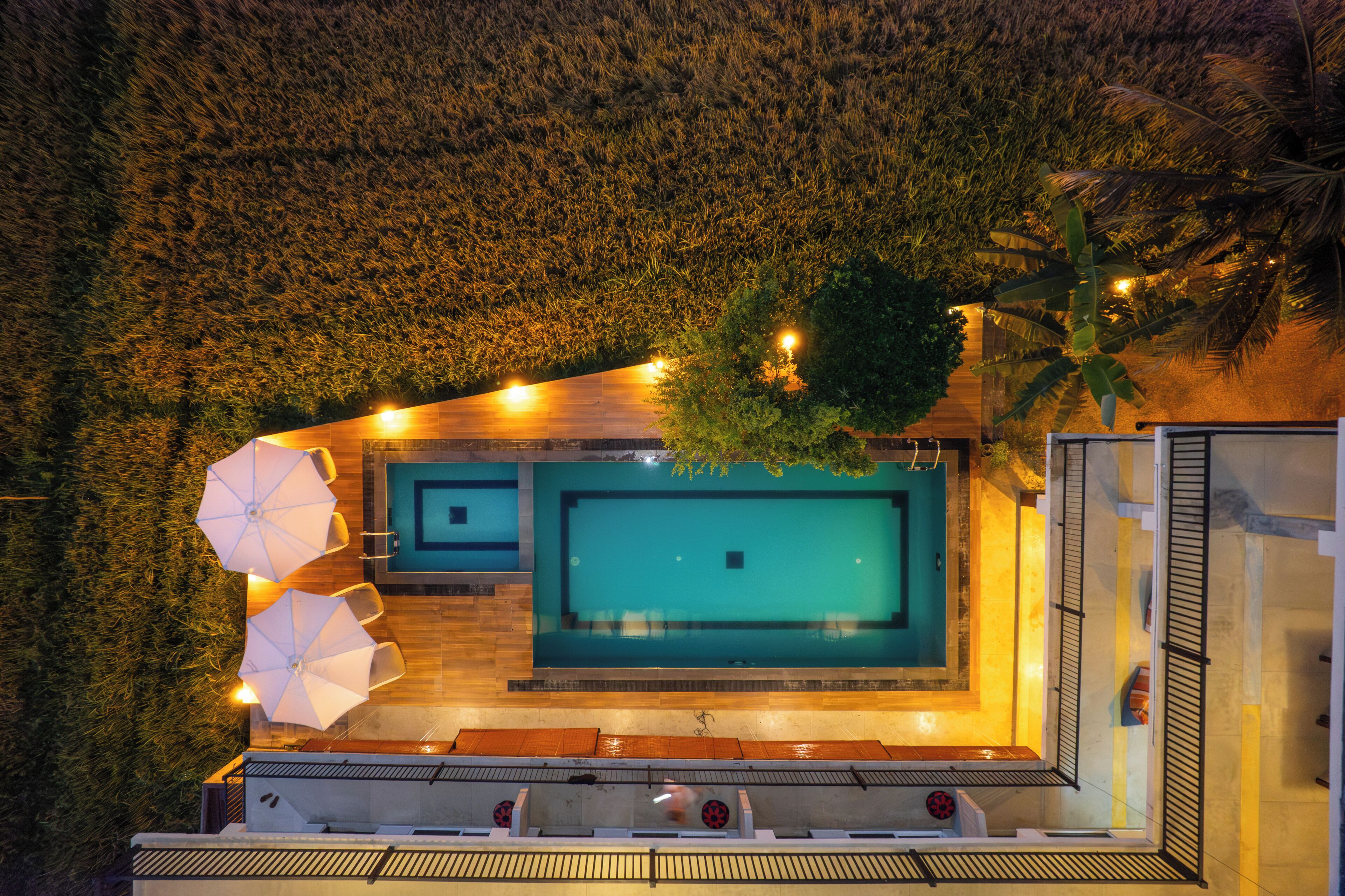 Piscina no terraço com deck de madeira, dois guarda-sóis e uma palmeira.