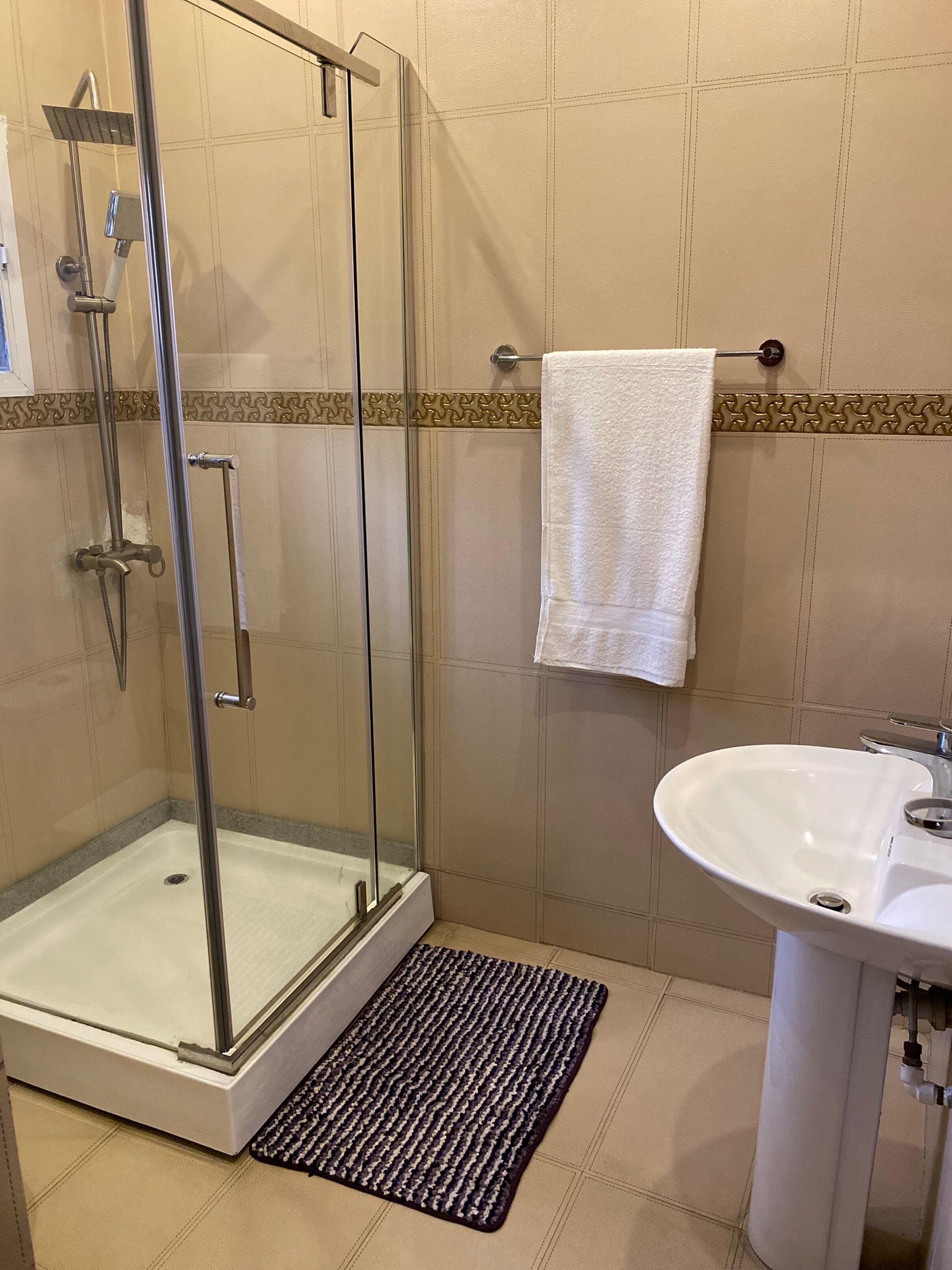 A shower with a glass door, a white sink, and a patterned rug.