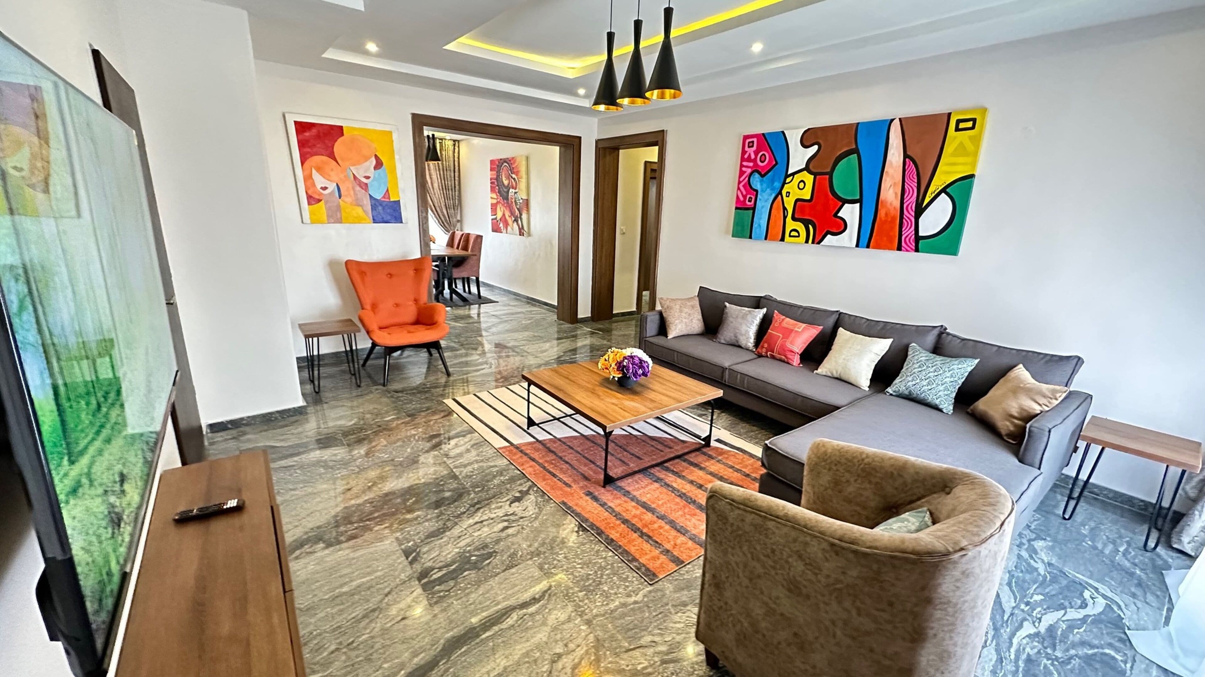 42-英寸等离子电视（配备卫星频道）