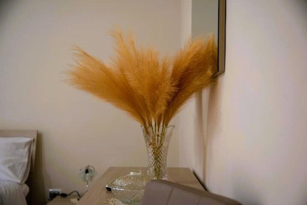 Un vase en verre transparent contenant des plumes d’herbe des pampas, posé sur une table de chevet.