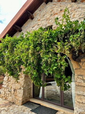 Exterior detail - Trulli Hansel & Gretel (Puglia)