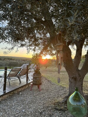 Property grounds - Trulli Hansel & Gretel (Puglia)