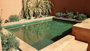 A rectangular swimming pool with a tiled edge, surrounded by various plants and a beige wall. - Riad Sassa Finda (Marrakech)