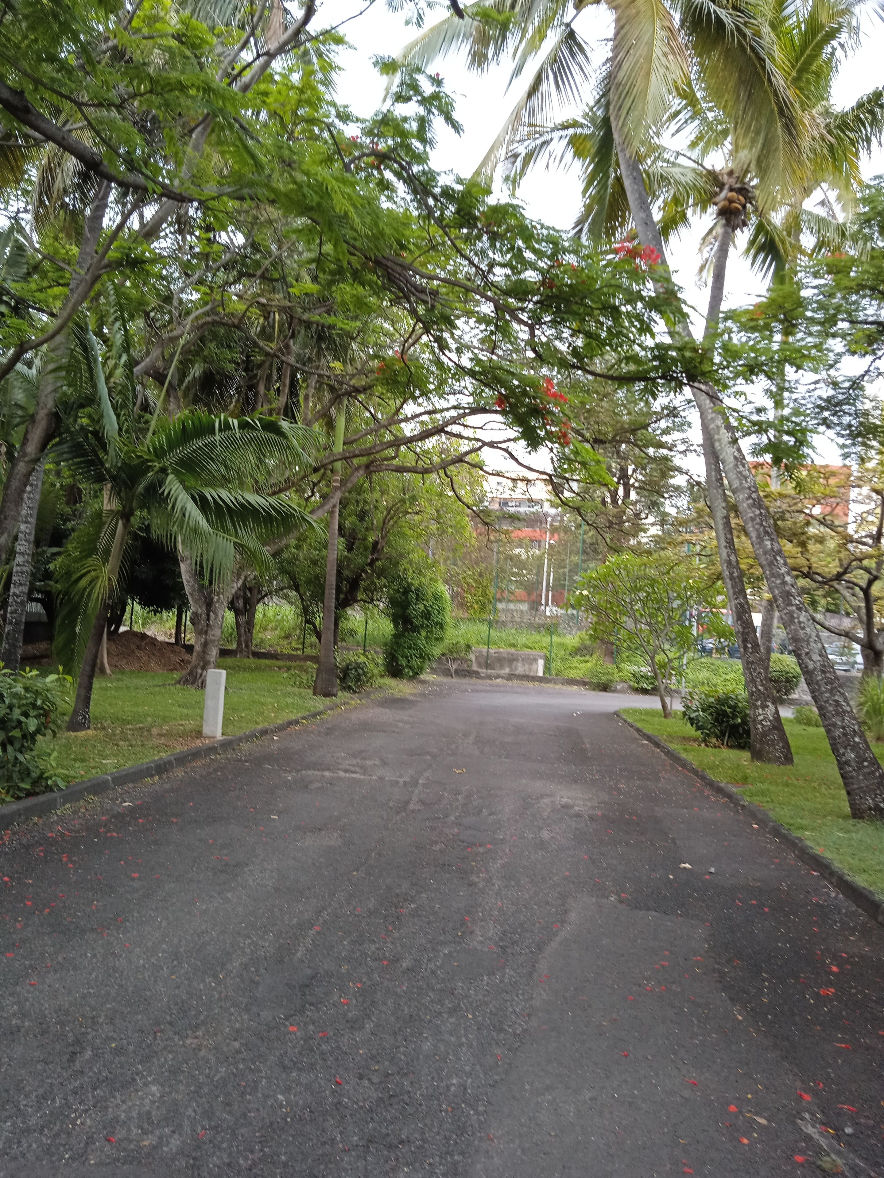 Jardines del alojamiento