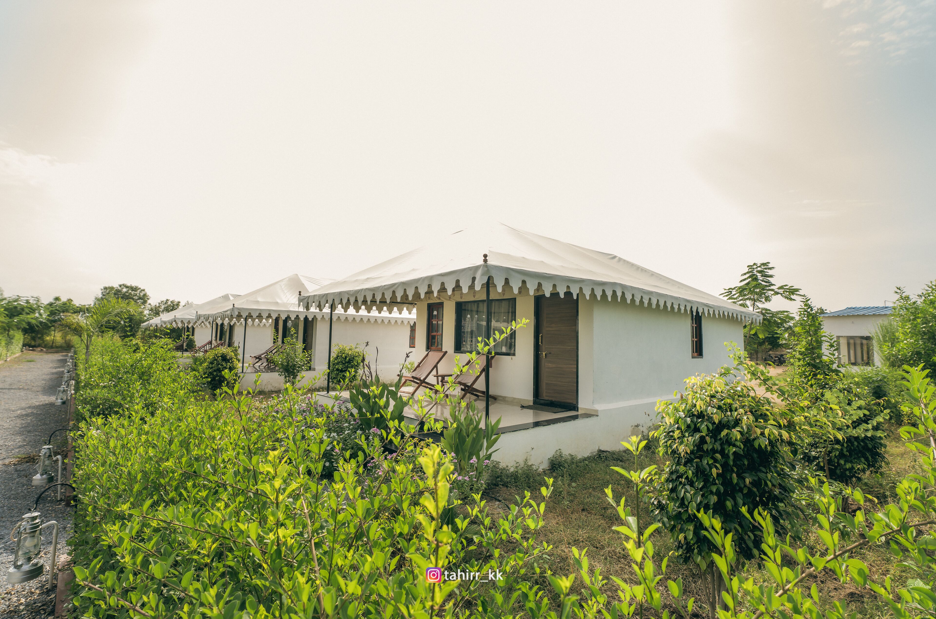 ลักซ์ชัวรี่เต็นท์ | วิวจากห้องพัก