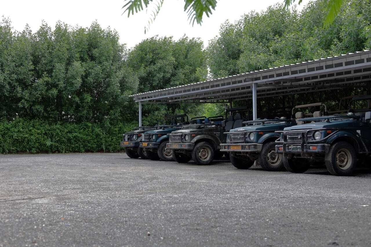 A row of four green utility vehicles parked under a covered structure with a dense green hedge in the background.