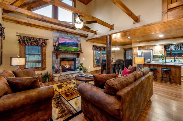 Smart TV, fireplace, DVD player, books
