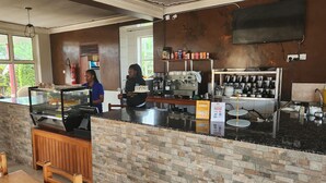 Interior de una cafetería con mostrador, máquinas de café y una variedad de tazas y recipientes en estantes.