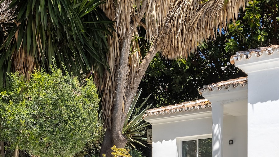 Buccara Casa Bruno