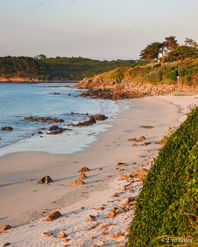 Studio à 500m des Plages Avec Jardin et Accès Piscine Intérieure