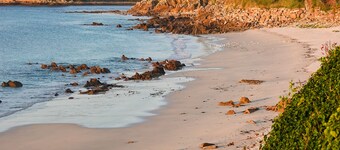 Studio à 500m des Plages Avec Jardin et Accès Piscine Intérieure