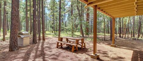Un espace pique-nique abrité, doté d’un banc en bois et d’un barbecue, entouré de grands pins.