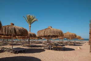 Una playa con hileras de tumbonas y sombrillas de paja, una palmera y un cielo azul despejado.