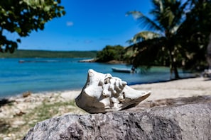På stranden, solsenger og strandhåndklær