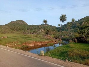 Property grounds - On the Rocks- Shivoham (Mount Abu)