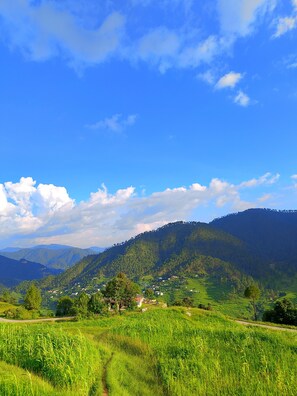 Miscellaneous - Kafal Retreat - A Sustainable Countryside Homestay / B&B (Someshwar)