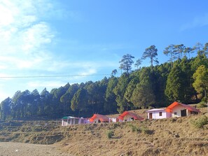 Exterior - Kafal Retreat - A Sustainable Countryside Homestay / B&B (Someshwar)