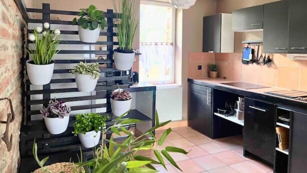 Cozinha moderna com armários pretos, bancada preta e fogão embutido. Há plantas em vasos sobre uma prateleira preta e uma janela com cortinas.
