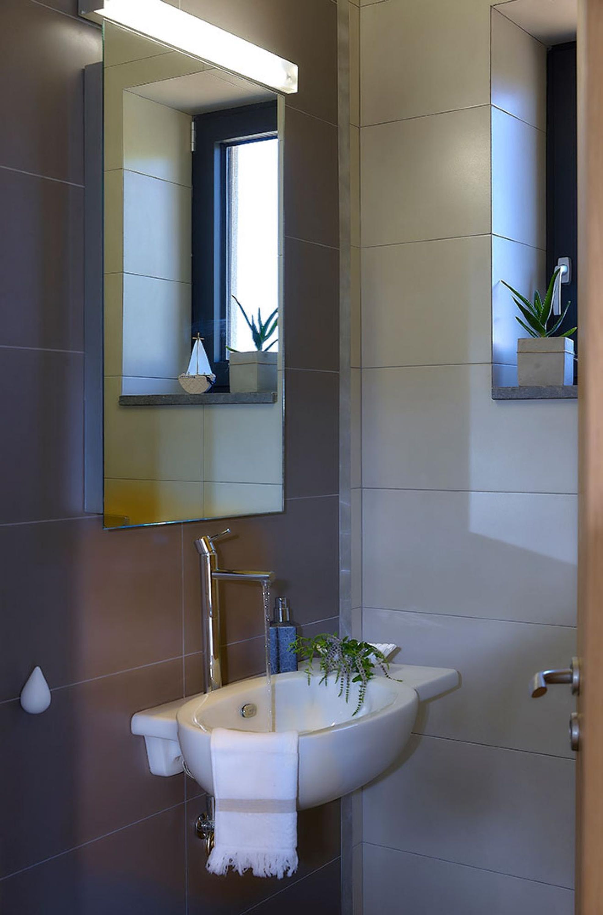 A bathroom with a white sink, a mirror above it, and a potted plant on the sink.